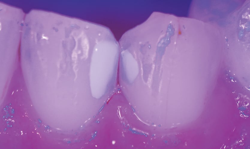 panf_後半_data_2 panf_後半_data_2